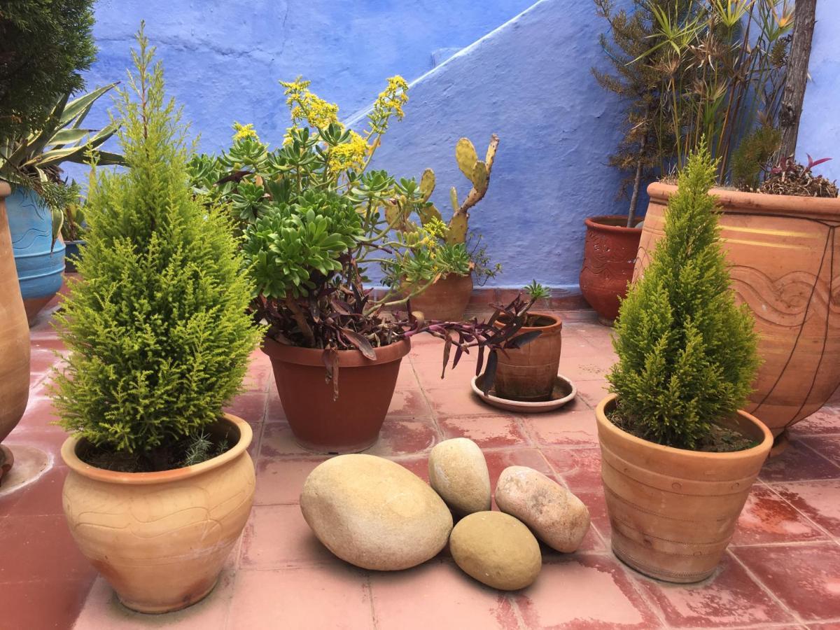 Bed and Breakfast Dar Onsar à Chefchaouen Extérieur photo