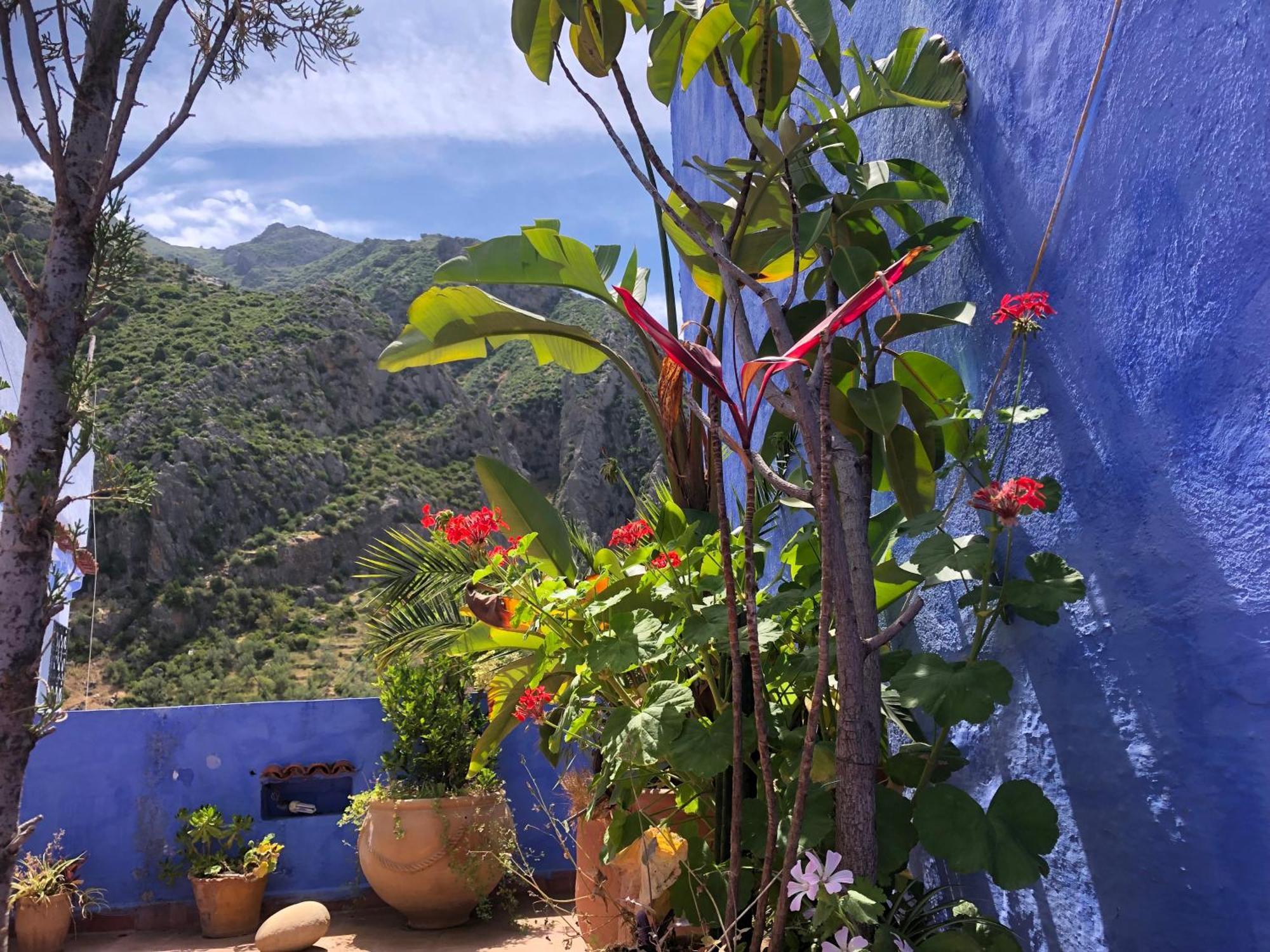 Bed and Breakfast Dar Onsar à Chefchaouen Extérieur photo